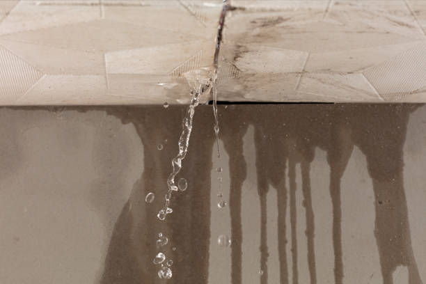 Professional Structural Drying technician working in Wolfeboro, NH